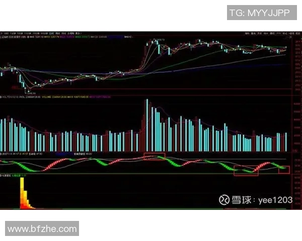 深圳篮球队与上海篮球队赛后状态分析与复盘探讨