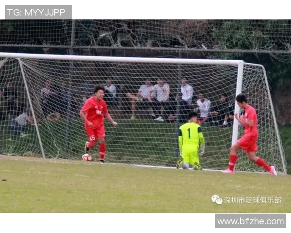 深圳羽毛球队区域防守革新之路探索与实践分析